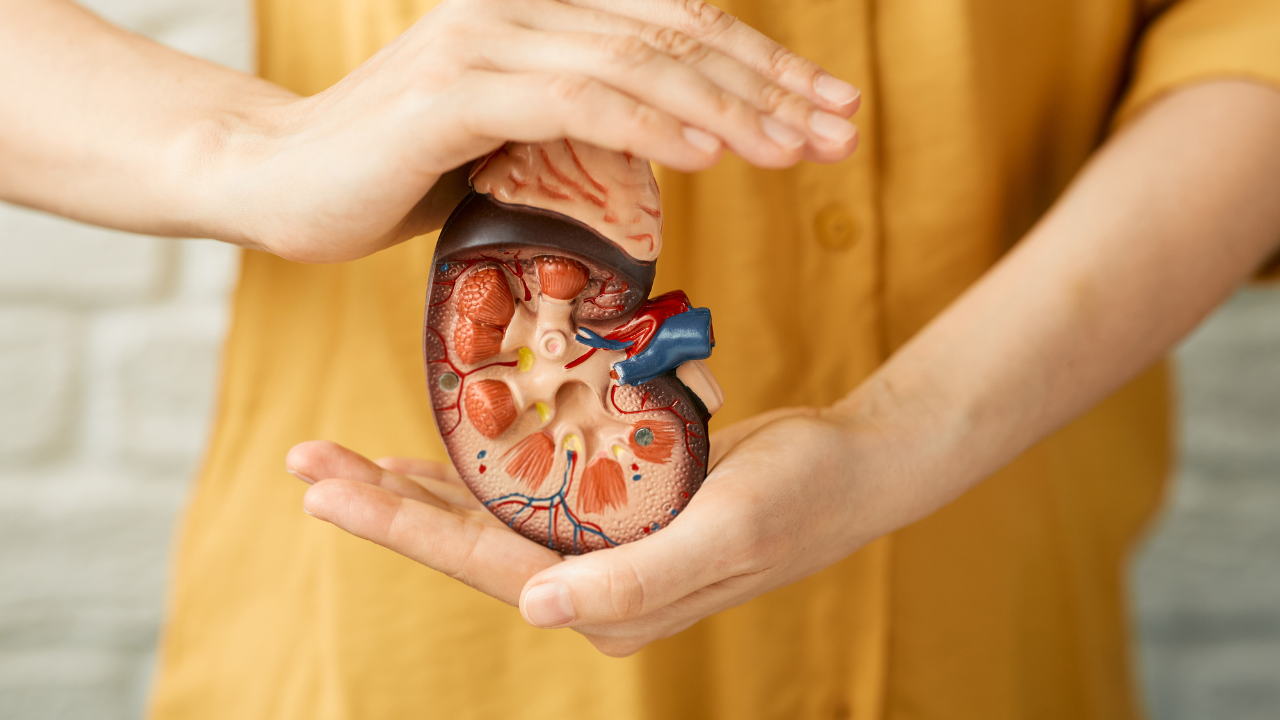 Cara Menjaga Kesehatan Ginjal