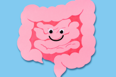 Meningkatkan Kesehatan Pencernaan dengan Makanan yang Tepat